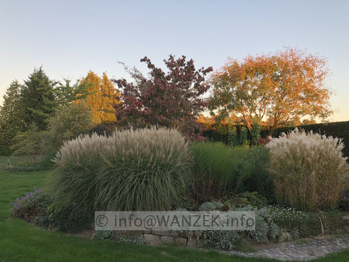 Stimmung Herbst 08.JPG